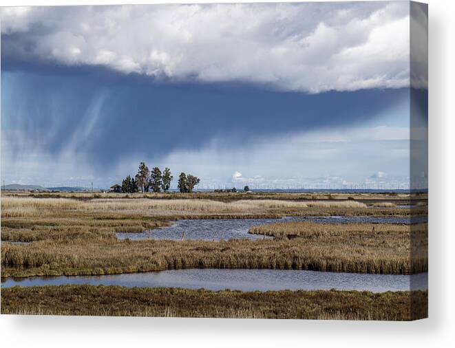 Rain Canvas Print featuring the photograph Cordellia Rain Storm by Bruce Bottomley