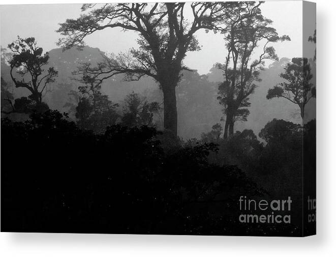 Black And White Canvas Print featuring the photograph Costa_rica_16-2 by Craig Lovell