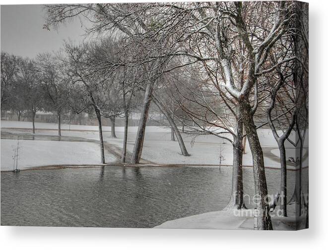 Parks Canvas Print featuring the photograph Cottonwood Park Winter 2 by Bill Hamilton