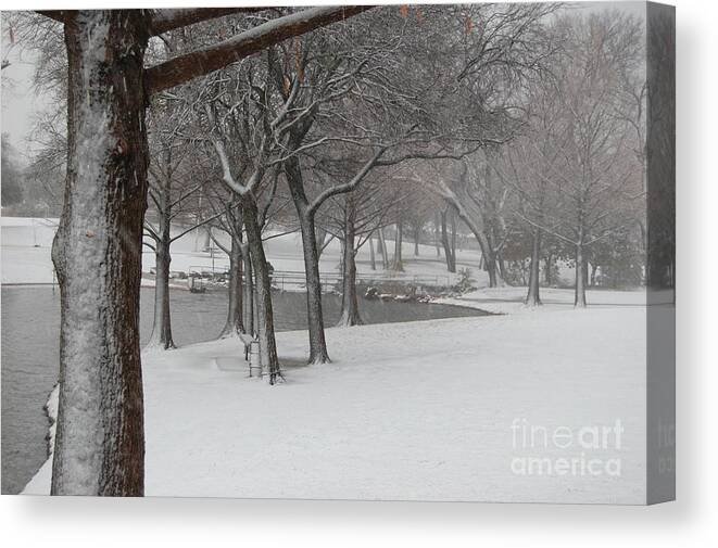 Travel Canvas Print featuring the photograph Cottonwood Park Winter by Bill Hamilton
