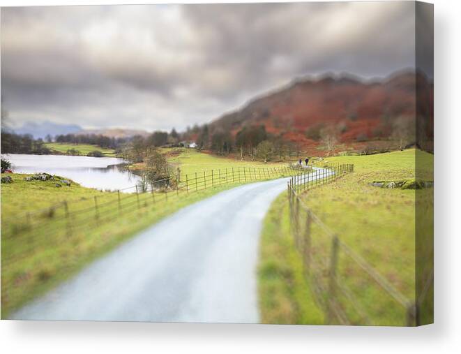 Agriculture Canvas Print featuring the photograph Country Lane In The Lakes -2 by Chris Smith