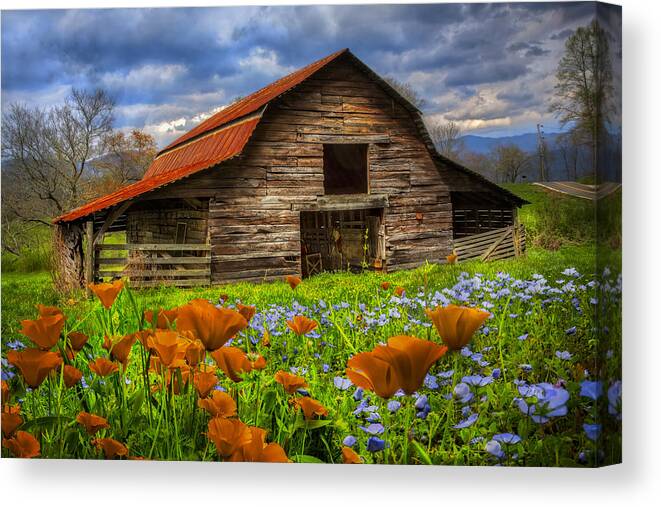 Appalachia Canvas Print featuring the photograph Country Poppies by Debra and Dave Vanderlaan