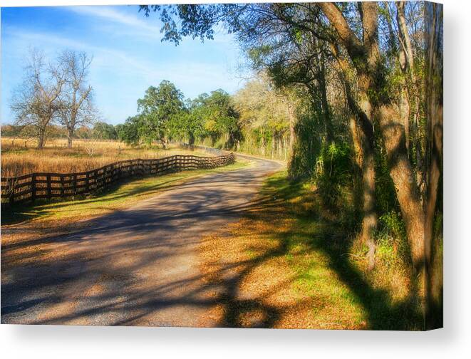 Outdoors Canvas Print featuring the photograph Country Road by Joan Bertucci