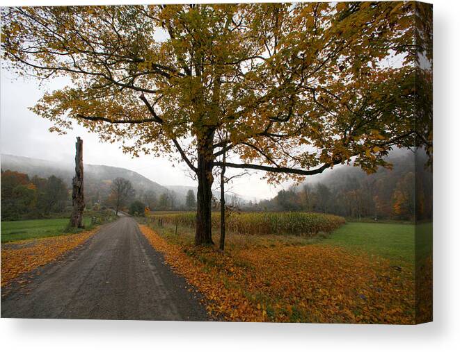 Country Fall Trees Field Road Drive Mountains Mountain Canvas Print featuring the photograph Country Road by Robert Och