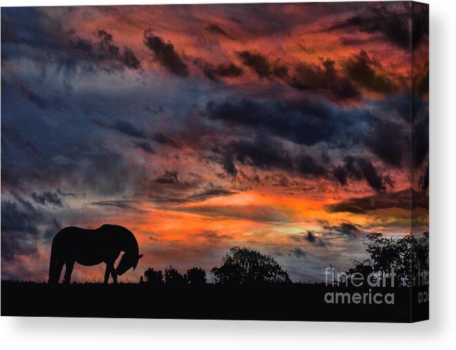 Horse Canvas Print featuring the photograph Country Sunrise by Stephanie Laird