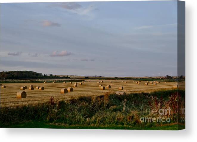 Countryside Landscape Canvas Print featuring the photograph Countryside. Autumn. by Elena Perelman