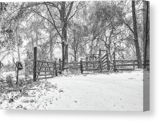 Chisolm Canvas Print featuring the photograph Cow Pen Snow Scene by Scott Hansen