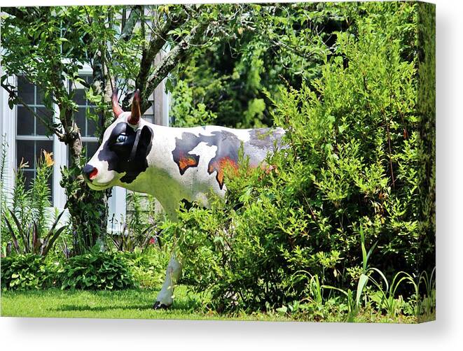Cow Canvas Print featuring the photograph Cow Statue by Cynthia Guinn