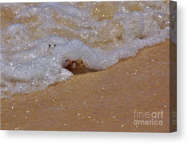 Vilanculos Canvas Print featuring the photograph Crab in the Surf by Jeremy Hayden