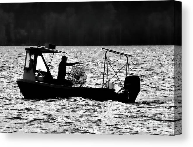 Boat Canvas Print featuring the photograph Crabbing on the Pamlico by Randy Rogers