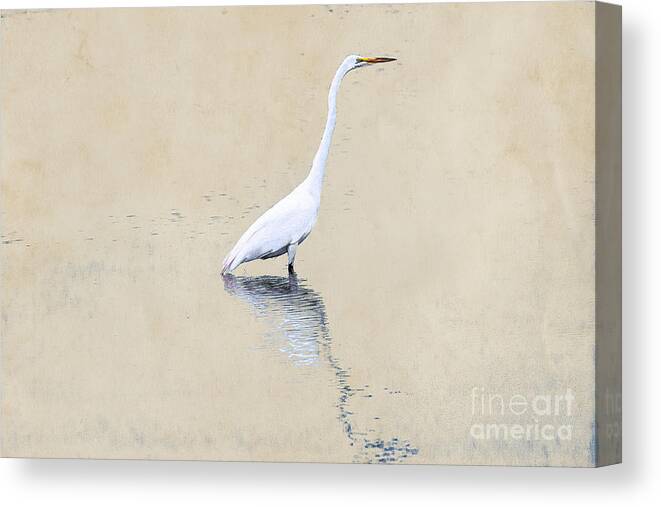 Crane In Water On Yellow Canvas Print featuring the digital art Crane in Water on Yellow by Randy Steele