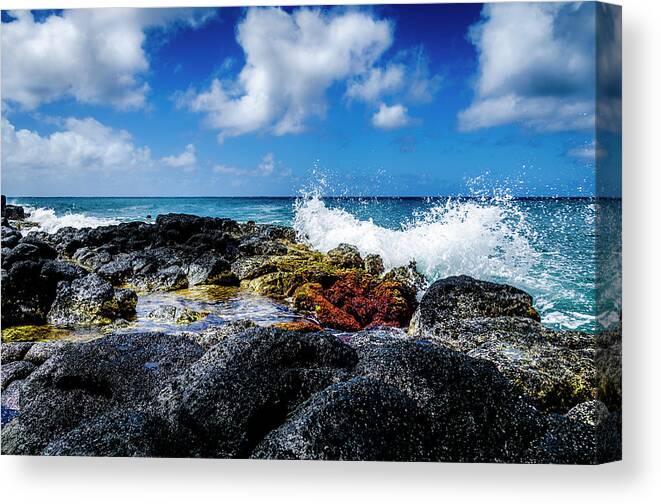 Ocean Canvas Print featuring the photograph Crashing waves by Daniel Murphy