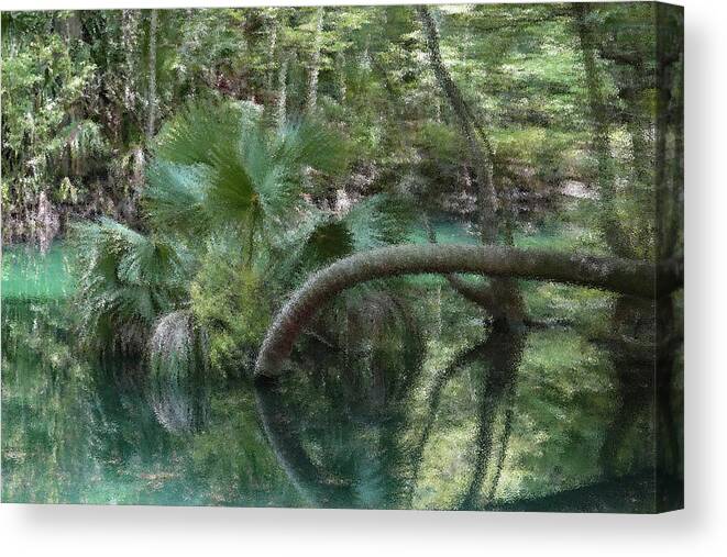 Silver Springs Canvas Print featuring the digital art Crazy Palm by Gina Fitzhugh