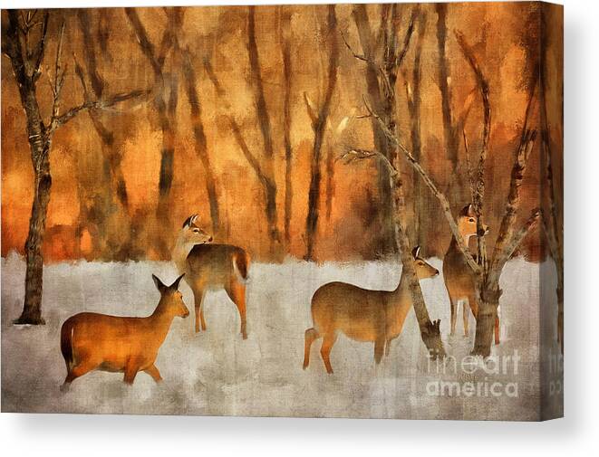Deer Canvas Print featuring the digital art Creatures of a Winter Sunset by Lois Bryan