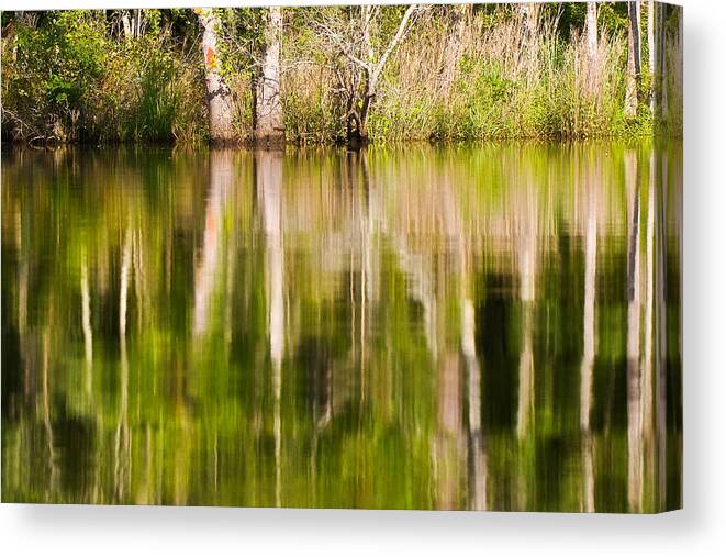 Trees Canvas Print featuring the photograph Creekside Reflections by Bob Decker