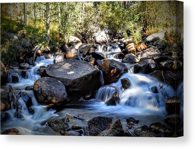 Creek Canvas Print featuring the photograph Creeky Steps by Michael Brungardt