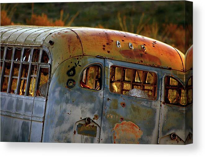 School Canvas Print featuring the photograph Creepers by Trish Mistric