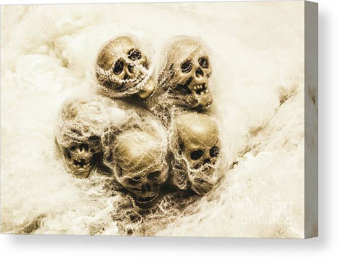 Cobwebs Canvas Print featuring the photograph Creepy skulls covered in spiderwebs by Jorgo Photography