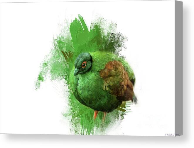Crested Partridge Canvas Print featuring the photograph Crested Partridge by Eva Lechner