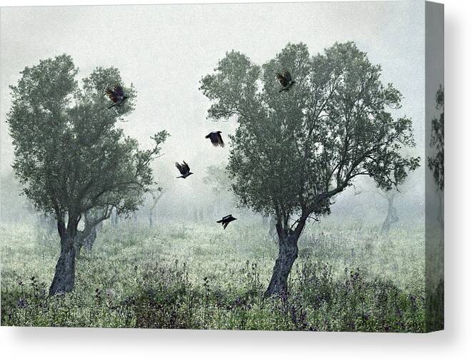 Mist Canvas Print featuring the photograph Crows In The Mist by S. Amer