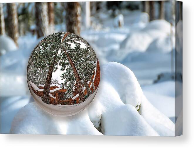 Conceptual Canvas Print featuring the photograph Crystal Ball by Maria Coulson