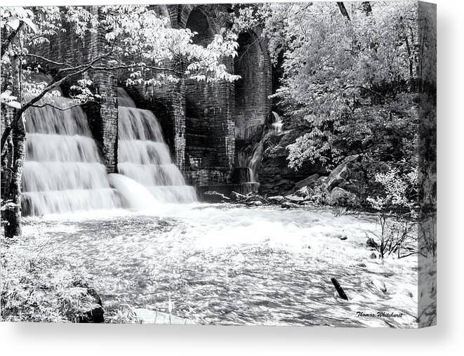 Landscape Canvas Print featuring the photograph Cumberland Mt. St. Pk. by Thomas Whitehurst