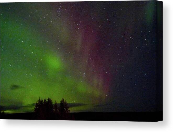 Aurora Canvas Print featuring the photograph Curtains of the Aurora by Amelia Racca