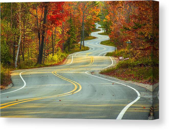 Fall Canvas Print featuring the photograph Curvaceous by Bill Pevlor