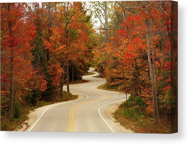 3scape Canvas Print featuring the photograph Curvy Fall by Adam Romanowicz