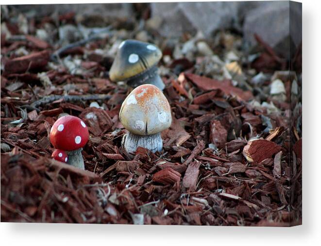 Tombstone Arizona Canvas Print featuring the photograph Cluster of Toadstools in Fairy Garden by Colleen Cornelius