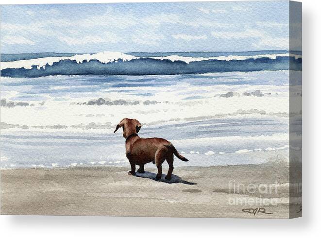 Dachshund Canvas Print featuring the painting Dachshund at the Beach by David Rogers