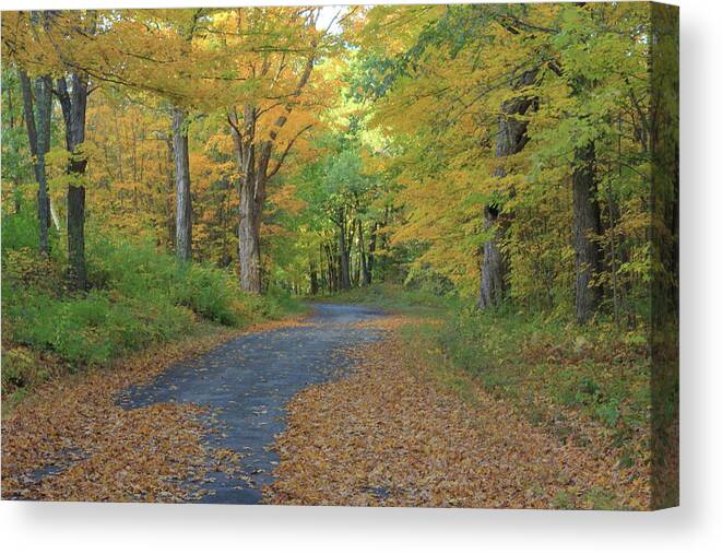 Autumn Canvas Print featuring the photograph Dana Common Road in Autumn Quabbin Reservoir by John Burk