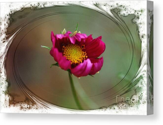 Cosmos Canvas Print featuring the photograph Dancing with wind by Yumi Johnson