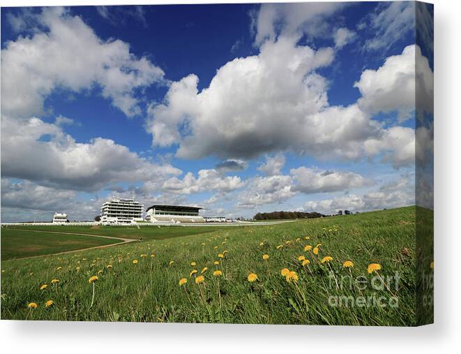 Dandelions On Epsom Downs Uk Fluffy Cumulus Clouds English Landscape Countryside Canvas Print featuring the photograph Dandelions on Epsom Downs UK by Julia Gavin