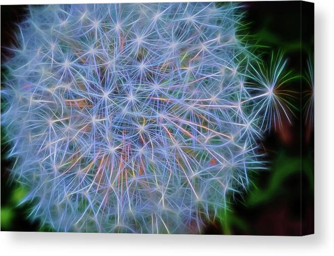 Abstract Canvas Print featuring the photograph Dandy by Cathy Kovarik