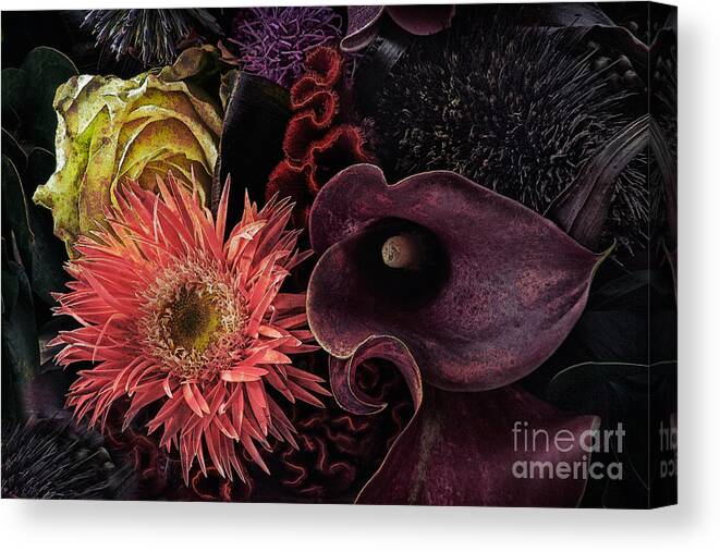 Botanical Canvas Print featuring the photograph Dark Bouquet by Ann Garrett