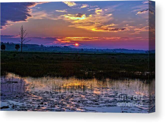 Sunrises Canvas Print featuring the photograph Dawn Breaking Over Saint Marks by DB Hayes