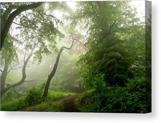 Corstorphine Hill Canvas Print featuring the photograph Daylight through the fog. by Elena Perelman