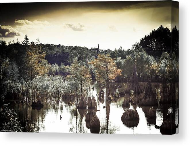 Dead Lakes Canvas Print featuring the photograph Dead Lakes Grunge Style by Debra Forand
