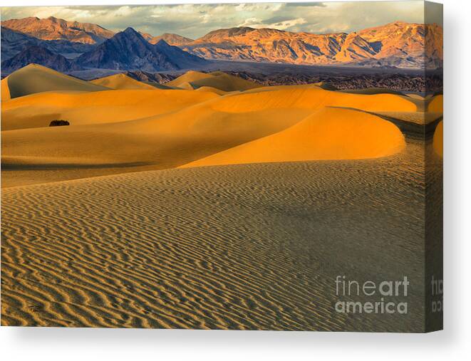 Death Valley Sand Dunes Canvas Print featuring the photograph Death Valley Golden Hour by Adam Jewell