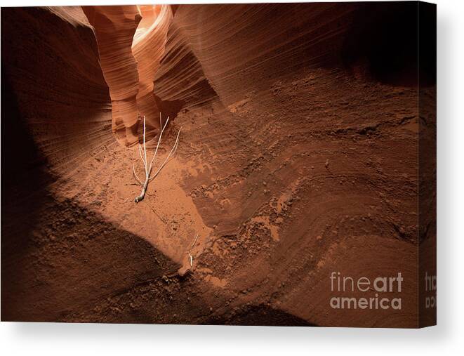  Lone Canvas Print featuring the photograph Deep Inside Antelope Canyon by Jim DeLillo