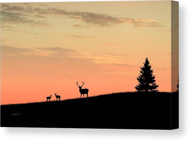 Animals Canvas Print featuring the digital art Deer in silhouette by John Wills