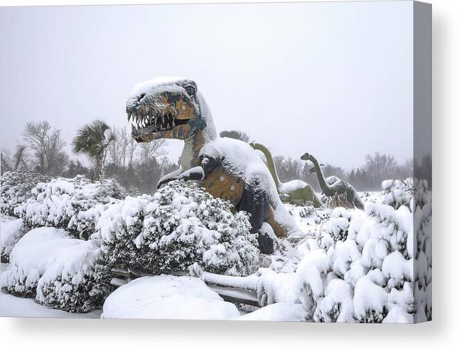 Photosbymch Canvas Print featuring the photograph Demise of the dinosaurs by M C Hood