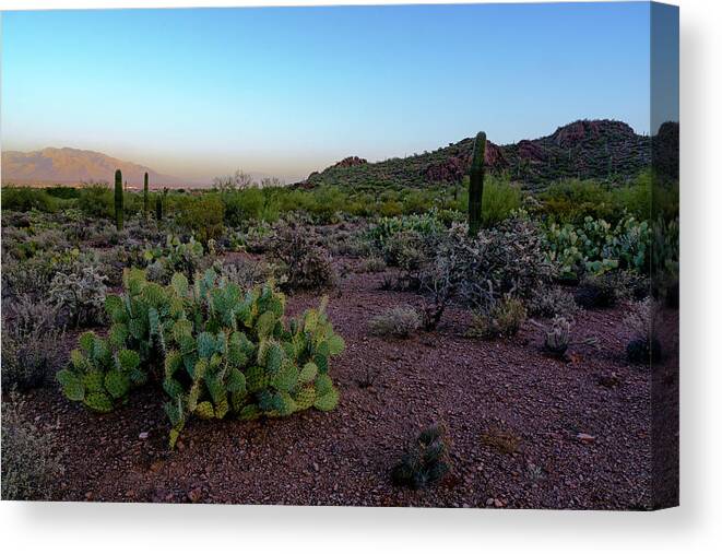 Arizona Canvas Print featuring the photograph Desert Foothills h29 by Mark Myhaver