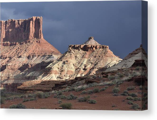 Desert Canvas Print featuring the photograph Desert Landscape by Ben Foster