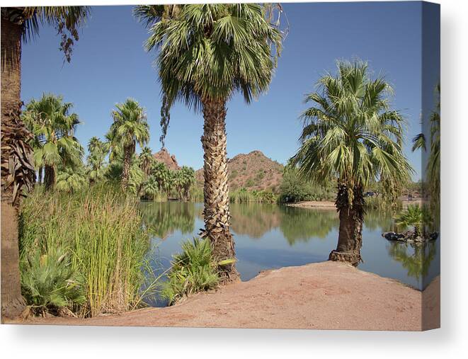 Desert Canvas Print featuring the photograph Desert Oasis by Darrell Foster