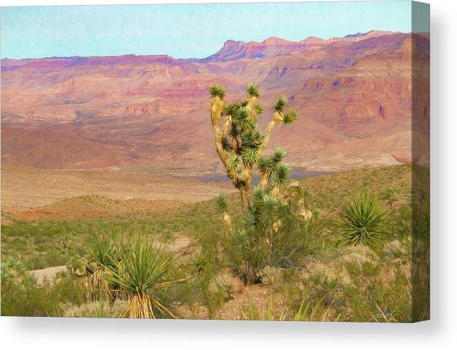 Desert Scene Near Grand Canyon West Canvas Print featuring the photograph Desert Scene Near Grand Canyon West by Bonnie Follett