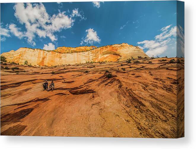 Zion Canvas Print featuring the photograph Desert Solitaire with a Friend by Doug Scrima