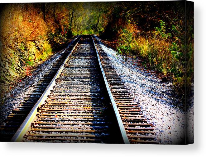 Train Canvas Print featuring the photograph Destiny by Susie Weaver