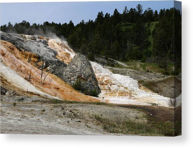 Mammoth Hot Spring Canvas Print featuring the photograph Devils Thumb by Christiane Schulze Art And Photography